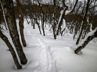 Parc national du Mont-Mégantic - Secteur de Franceville